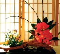 Decoratiune ikebana pentru living