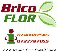 BricoFlor