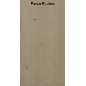 Panou rasinos