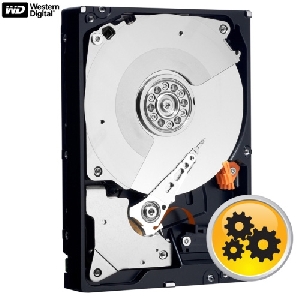 Hard Disk Western Digital RE4 WD1003FBYX  1 TB  SATA 2