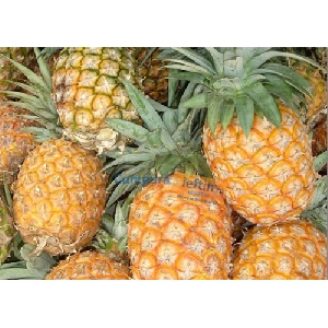 Ananas kilogram