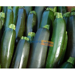 Zucchini kilogram