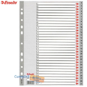 Separatoare din plastic Esselte  index 1-31