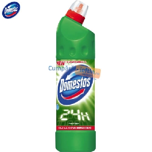 Dezinfectant Domestos Pine Fresh 750 ml