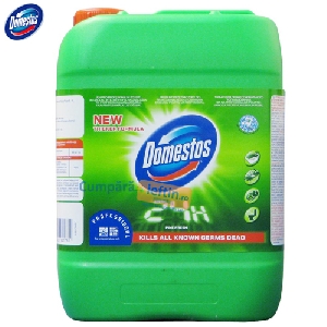 Dezinfectant Domestos Professional Pine Fresh 5 L