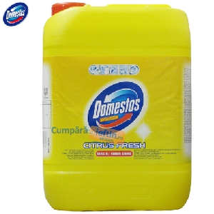 Dezinfectant Domestos Professional Citrus Fresh 5 L