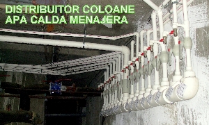 Distribuitor coloane