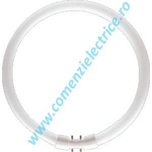 TUB NEON - TL5 Circular 22W/830