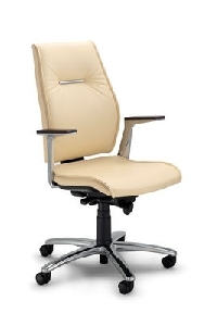 Scaun ergonomic Sedna