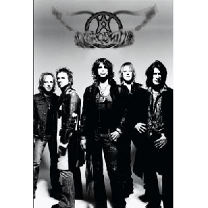 Aerosmith 2 (30 x 45 cm)