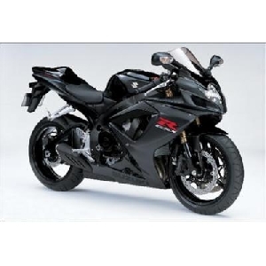 Suzuki GSX-R600 (45 x 30 cm)