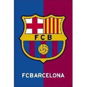 FC Barcelona (30 x 45 cm)