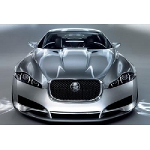 Jaguar C-XF (61 x 41 cm)