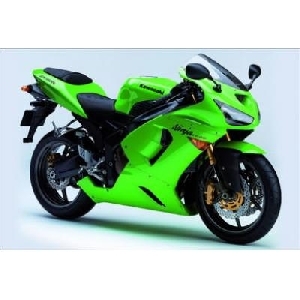 Kawasaki Ninja (91 x 61 cm)