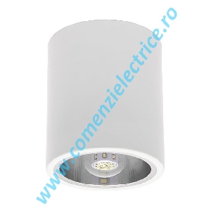 SPOT TIP DOWNLIGHT NIKOR DLP-75-W ALB IP20