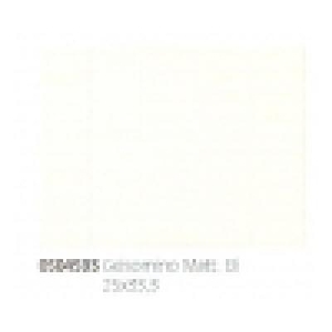 ESSENZA GELSOMINO MATT.BI 0504593