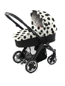 Landou Oyster Vogue Dalmatian - OYS1 OYS1