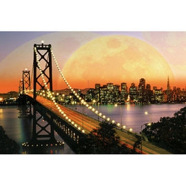 Puzzle San Francisco noaptea pentru copii - ARTRVSPA17039 ARTRVSPA17039