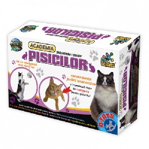 Academia Pisicilor D-Toys 67890