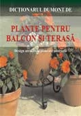 Plante pentru balcon si terasa