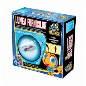 Lumea Furnicilor D-Toys,