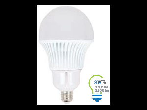 Bec LED 30W E27 6000K