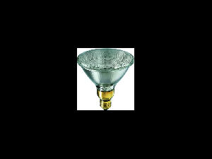 Bec Halogen PAR38 65W E27 230V 30D