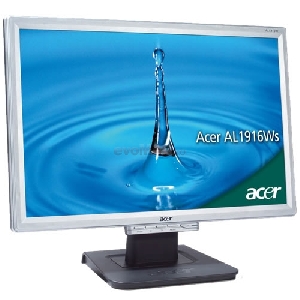 Acer - Monitor LCD 19