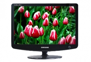 SAMSUNG - Monitor LCD 19