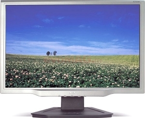 Acer - Monitor LCD 22