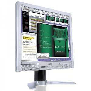 Philips - Monitor TFT 19