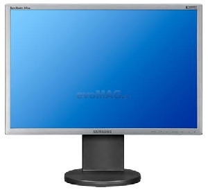 SAMSUNG - Monitor LCD 19