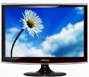 SAMSUNG - Monitor LCD 19