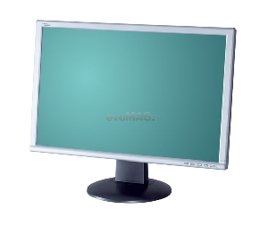 Fujitsu Siemens - Monitor LCD 20