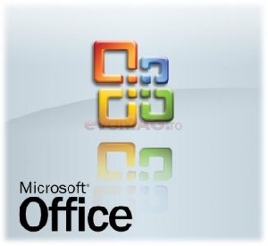 MicroSoft - Office Basic 2007 Engleza