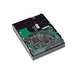 HP - Hard Disk 80GB ATA/100