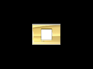 Placa ornament ,2 module, Ice Gold, living light, BTICINO