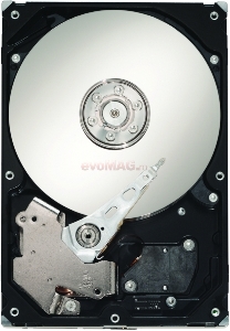 Seagate - HDD Desktop Barracuda 7200.10, 250GB, SATA II 300