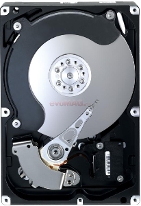 SAMSUNG - HDD Desktop SpinPoint T166, 320GB, SATA II 300