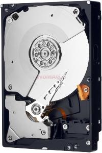 Western Digital - HDD Desktop Caviar Black, 1TB, SATA II 300