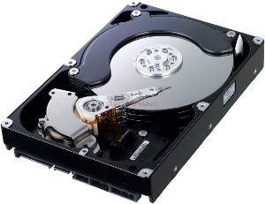 SAMSUNG - HDD Enterprise SpinPoint F1 RAID, 1TB, SATA II 300