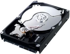 SAMSUNG - HDD Desktop SpinPoint F1 DT, 320GB, SATA II 300 (Cutie)