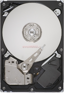 Seagate - HDD Desktop Barracuda 7200.12, 500GB, SATA II 300