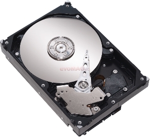 Maxtor - HDD Desktop DiamondMax 23, 250GB, SATA II 300