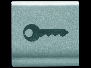 Placa pentru buton - 22X22mm - KEY - TITANIUM - CHORUS