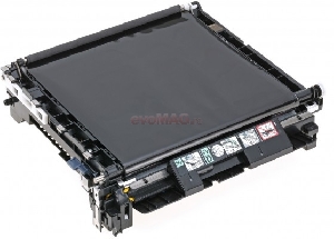 Epson - Curea de transfer (C13S053024)