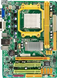 BIOSTAR - Placa de baza GF8100 M2G+