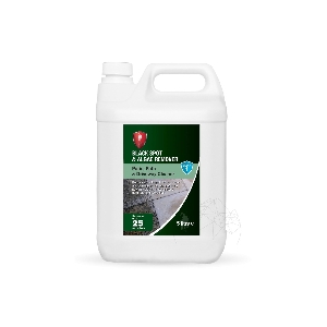 LTP Detergent antimucegai, alge, fungi, pentru pavaje exterioare 5L