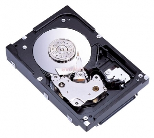 Fujitsu Siemens - Hard Disk 300GB SAS