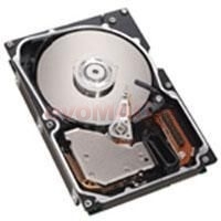 IBM - Hard Disk Server 250GB SATA